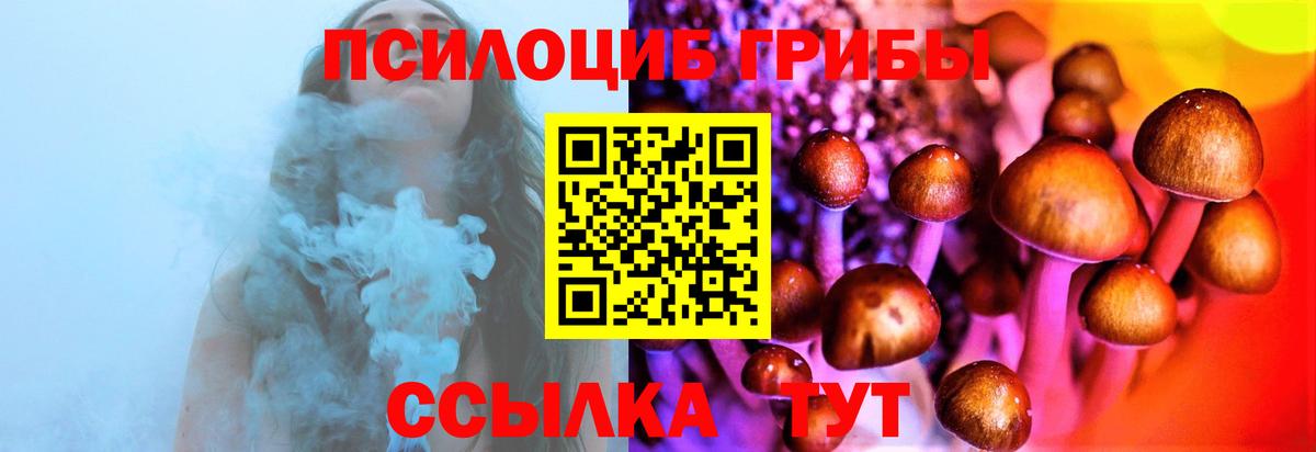 даркнет сайт  Вход с VPN  Фурманов  Псилоцибиновые грибы MAGIC MUSHROOMS 